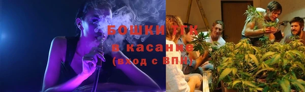 мяу мяу мука Алексеевка