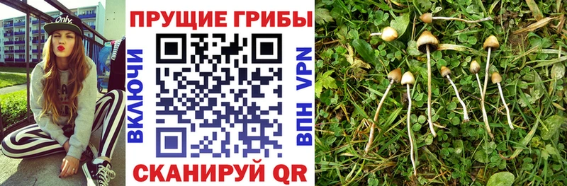 Галлюциногенные грибы ЛСД Сорочинск